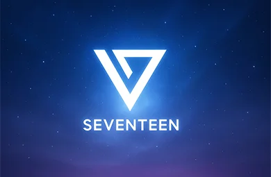 seventeen merch